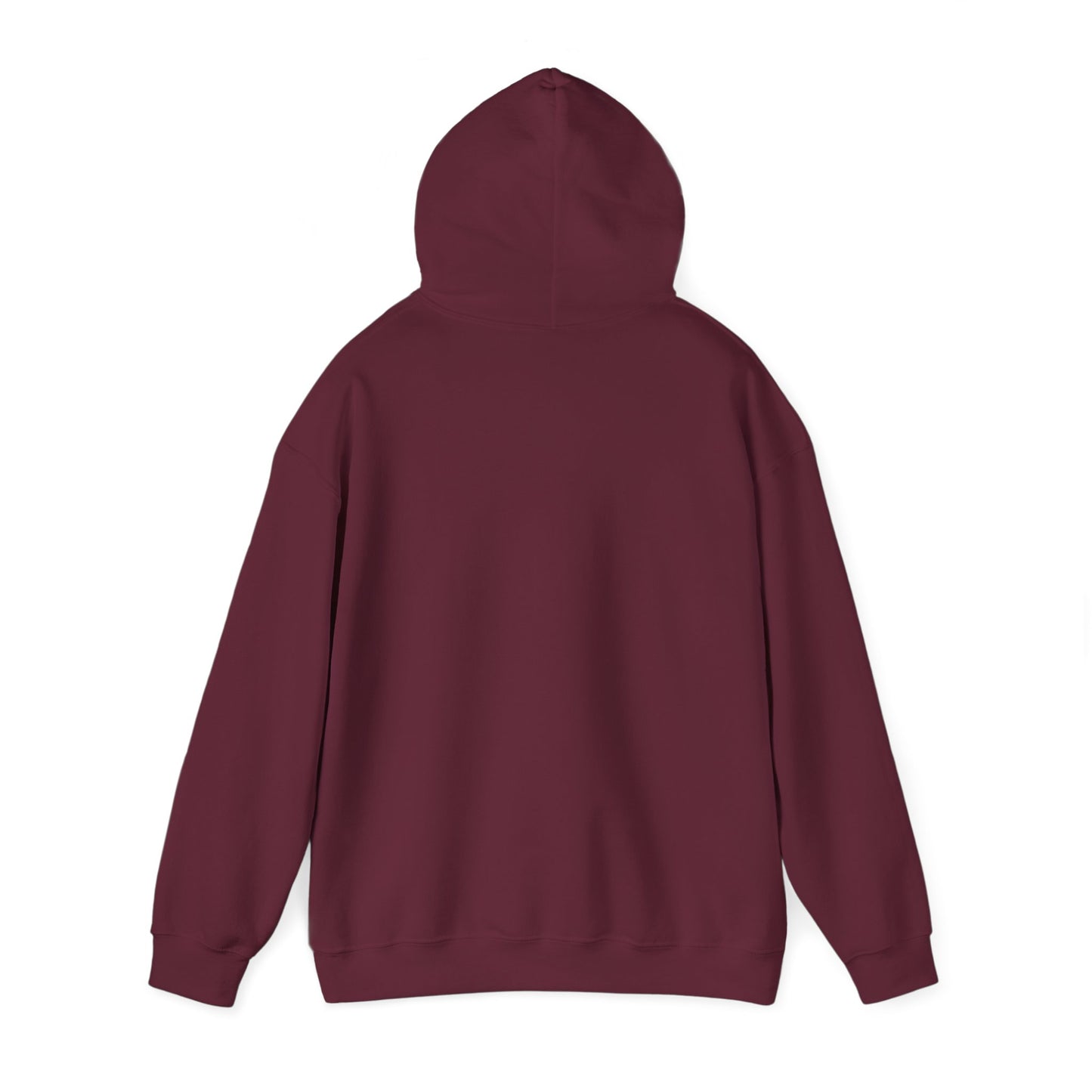 Paradox Classic Unisex Hoodie