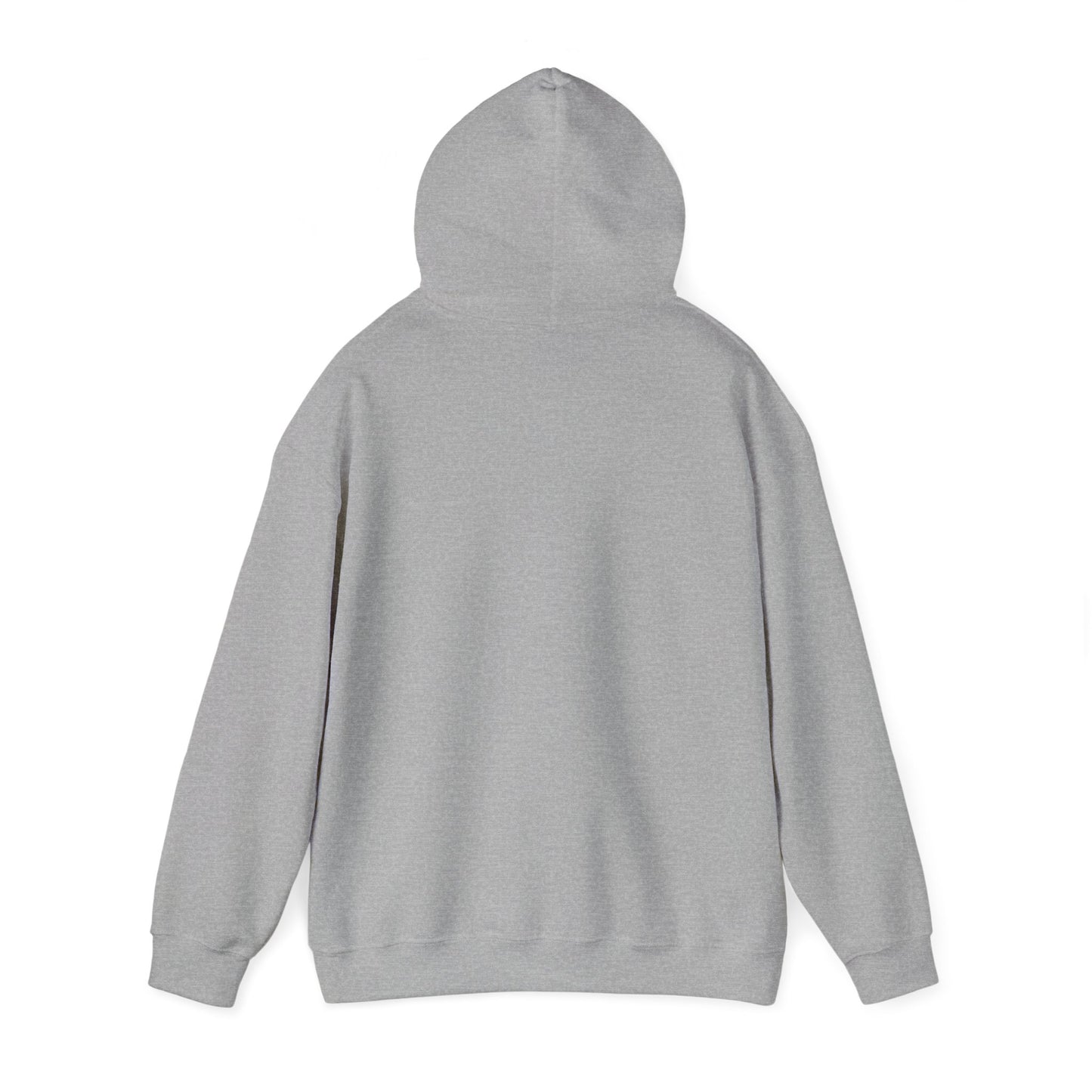 Paradox Classic Unisex Hoodie