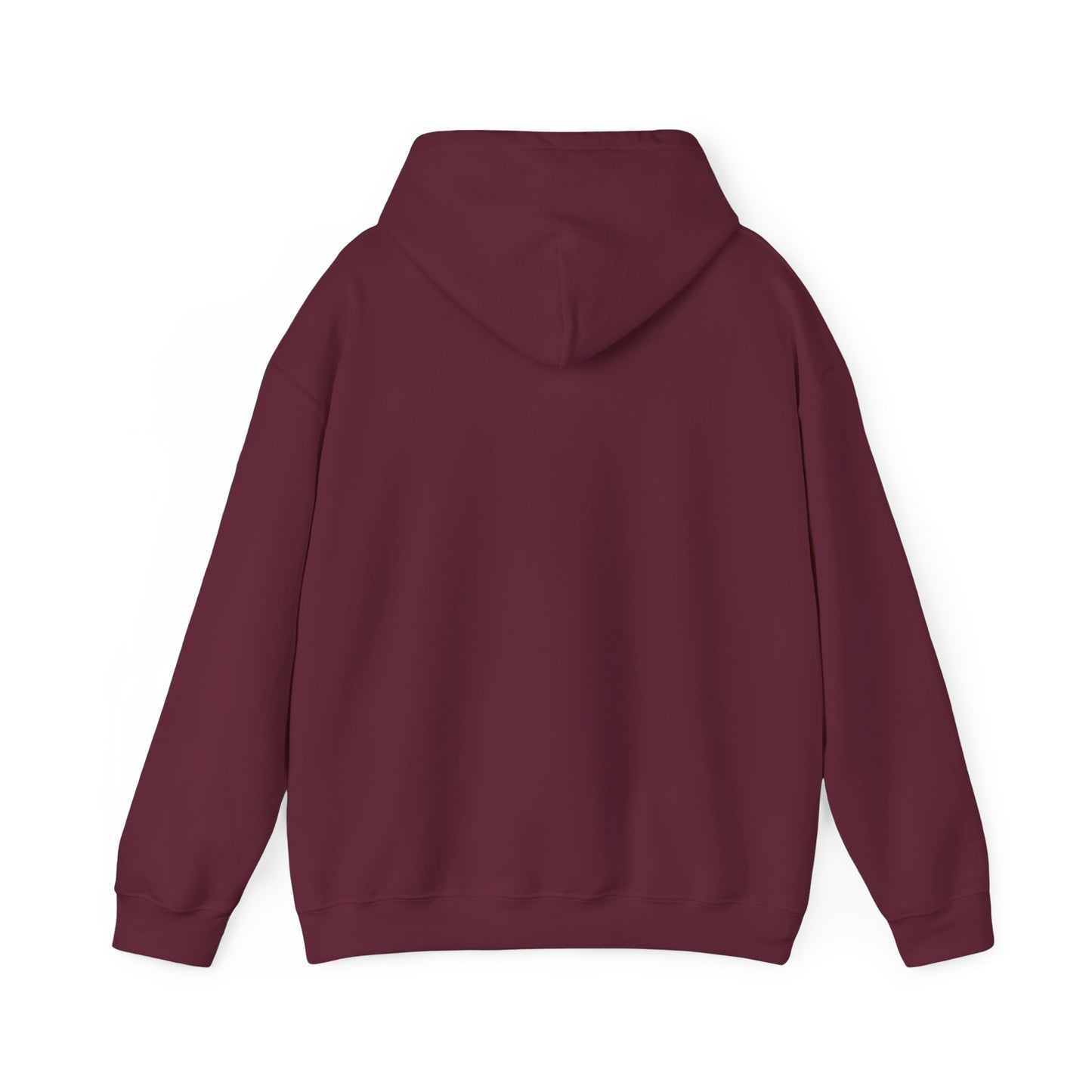 Paradox Classic Unisex Hoodie
