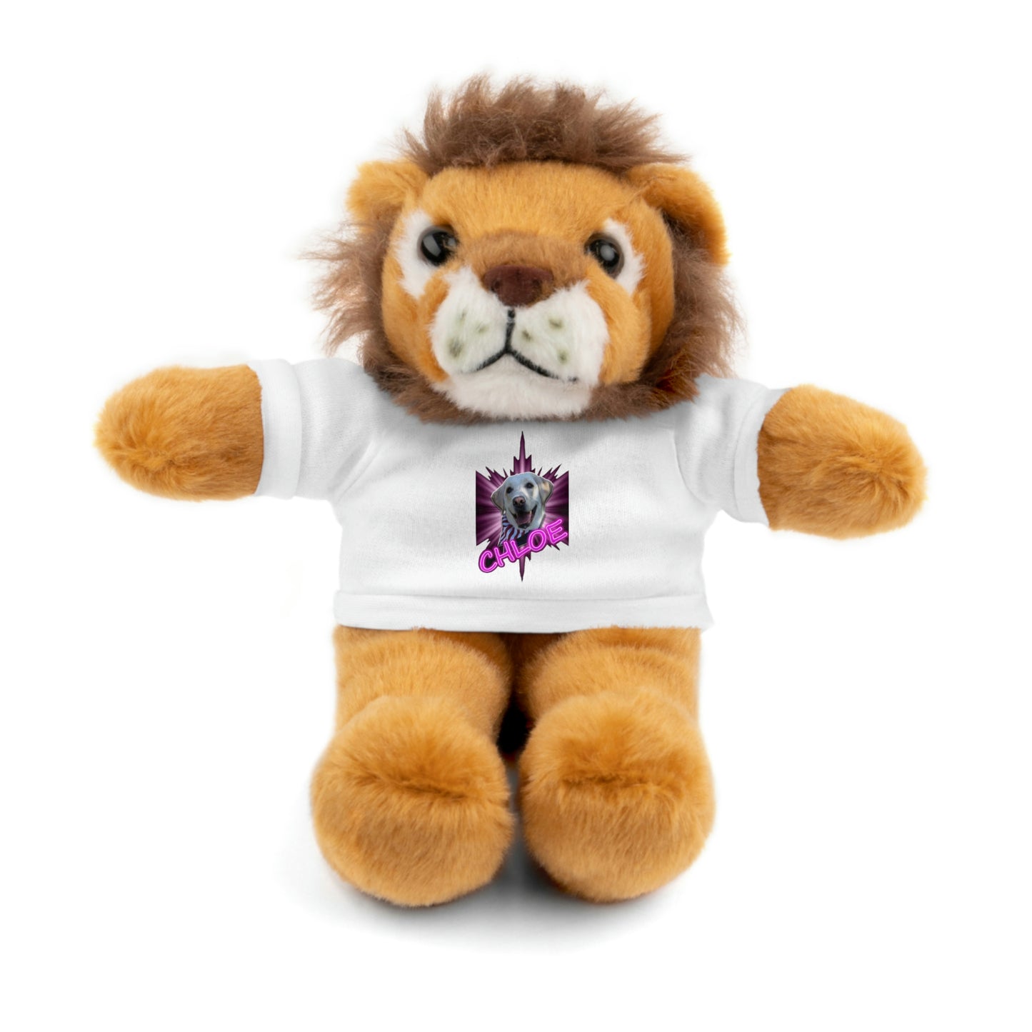Dj Ditter Chloe Stuffed Animals with Tee