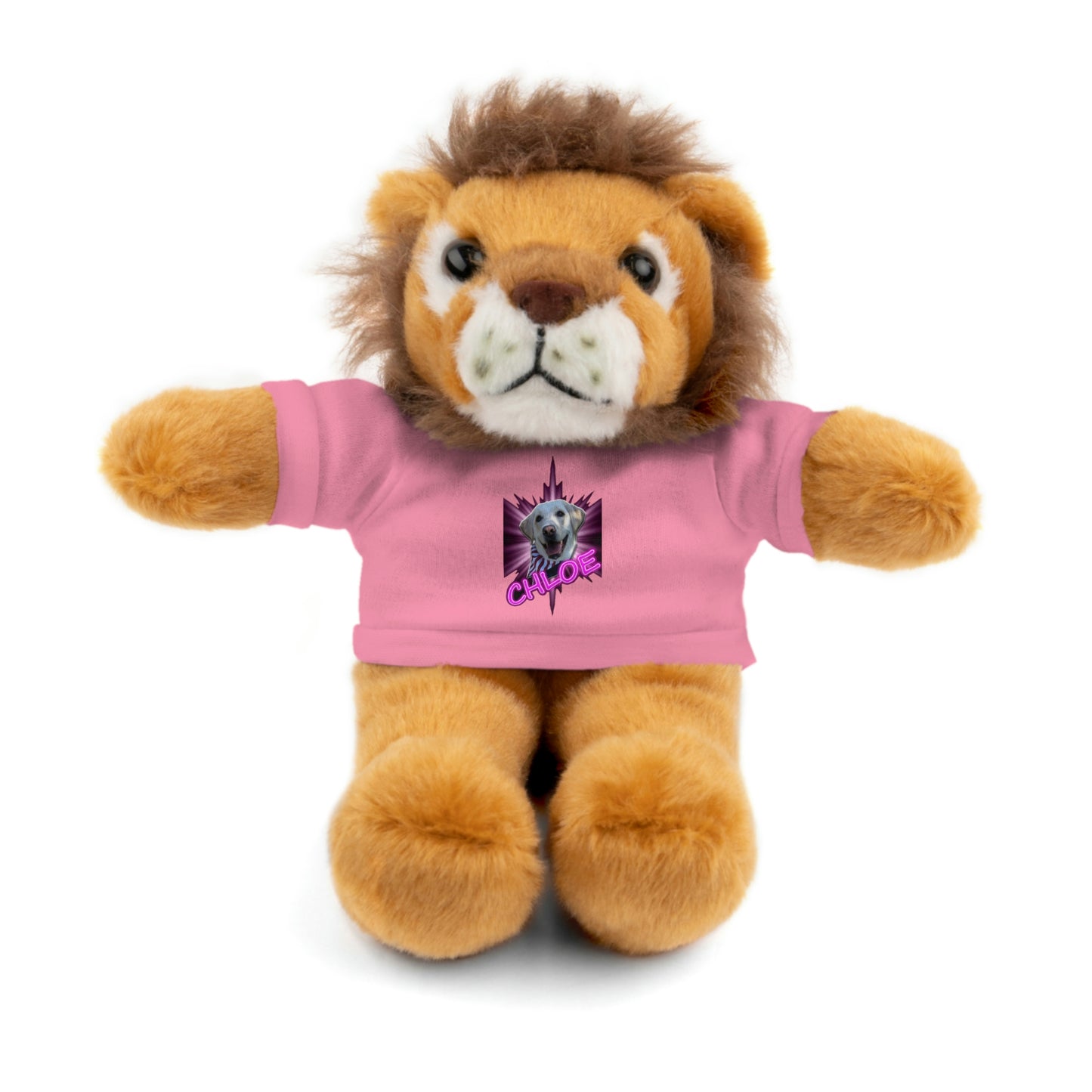 Dj Ditter Chloe Stuffed Animals with Tee