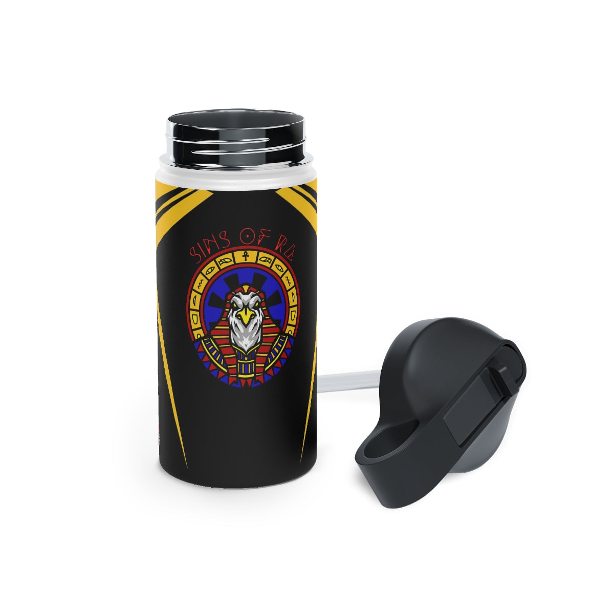 Stainless Steel Water Bottle