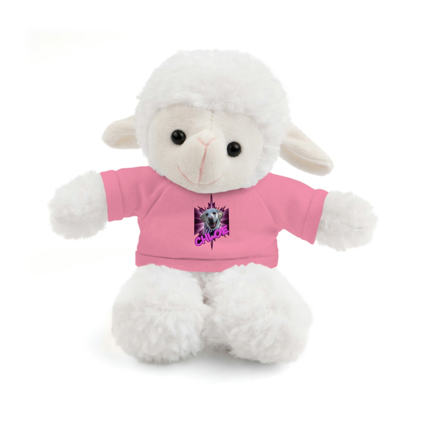 Dj Ditter Chloe Stuffed Animals with Tee