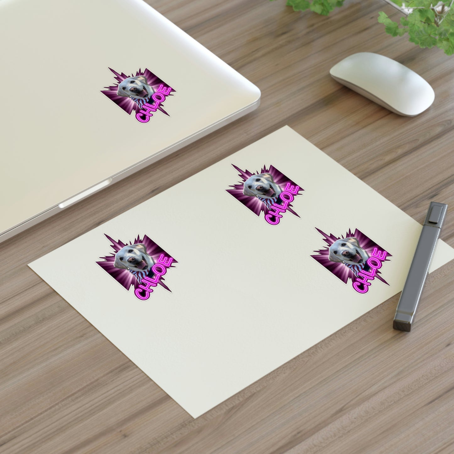 Dj Ditter Chloe Sticker Sheets
