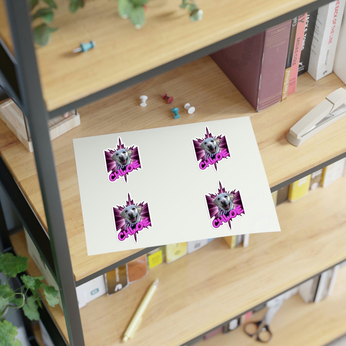 Dj Ditter Chloe Sticker Sheets