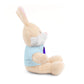 BadWolfRose Classic Stuffed Animals with Tee