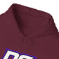 Defy Gravity Unisex Hoodie