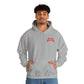Kontroller Labs Classic Unisex Hoodie