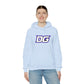 Defy Gravity Unisex Hoodie