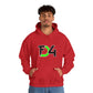 FD4 Classic Unisex Hoodie