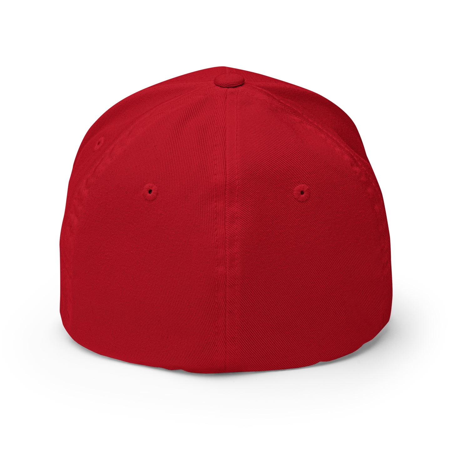 Dysfunction1995 Flex Fit Hat